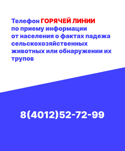Горячая линия